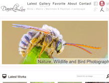 Tablet Screenshot of danielslim.com